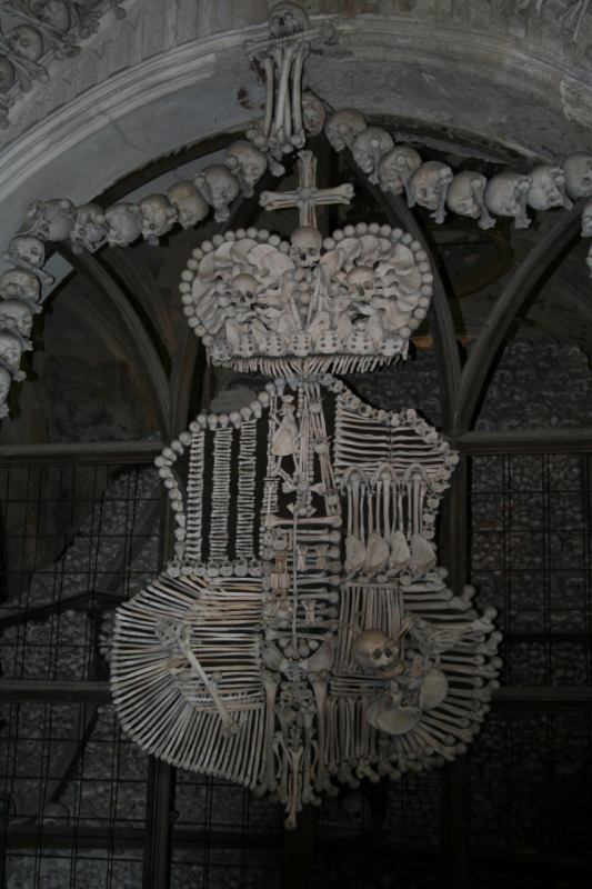 * Image 12