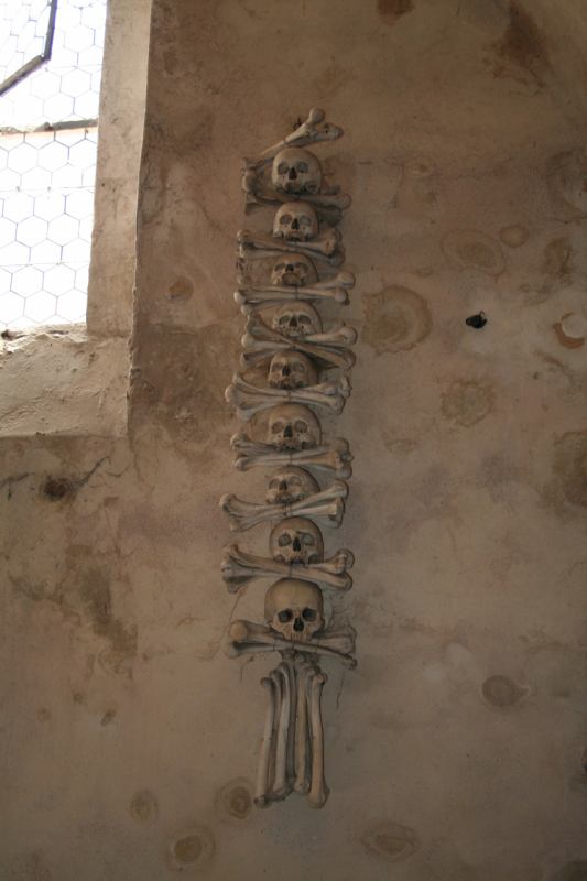 * Image 14