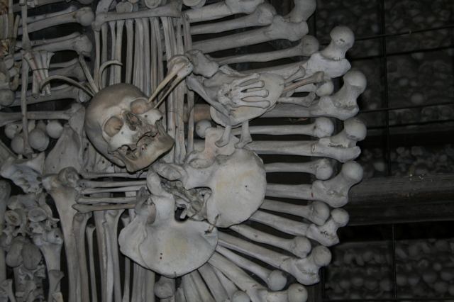 * Image 11