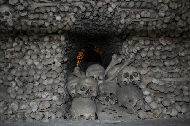 * Image 15