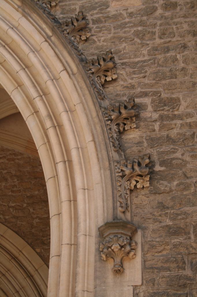* Image 6