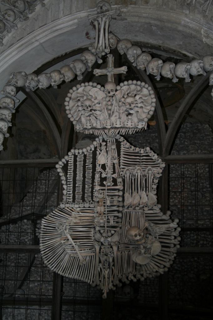 * Image 12