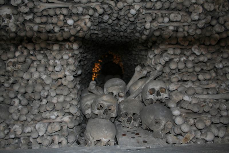 * Image 15