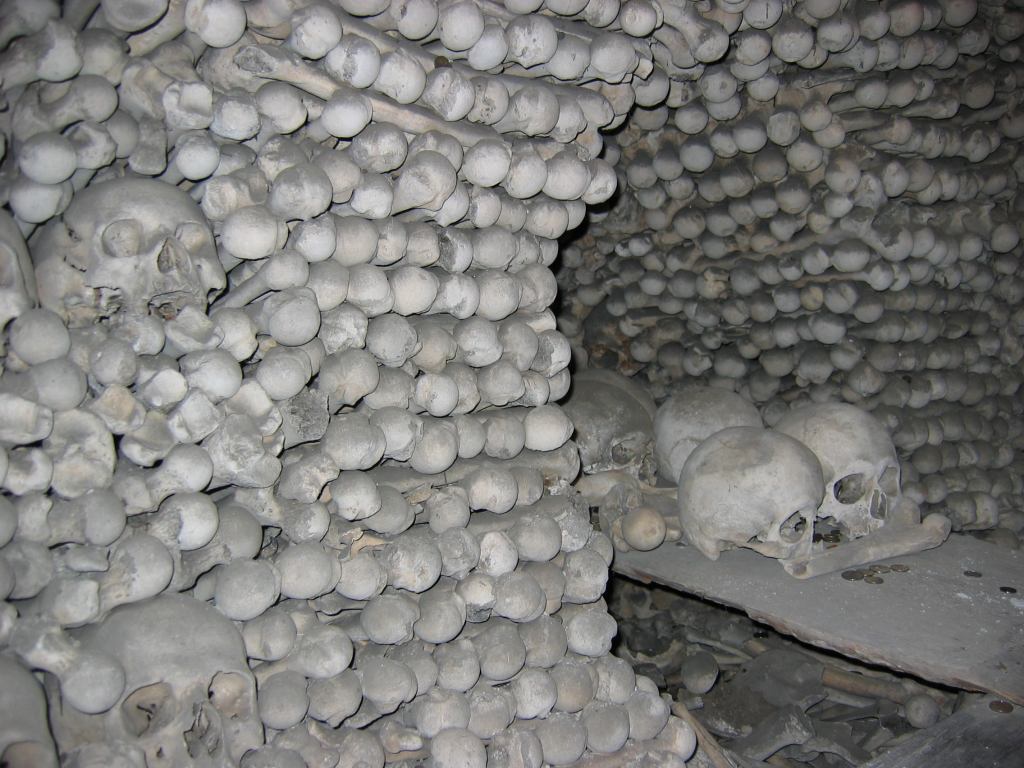 * Image 5