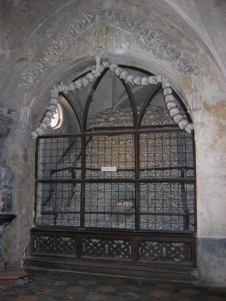* Image 7