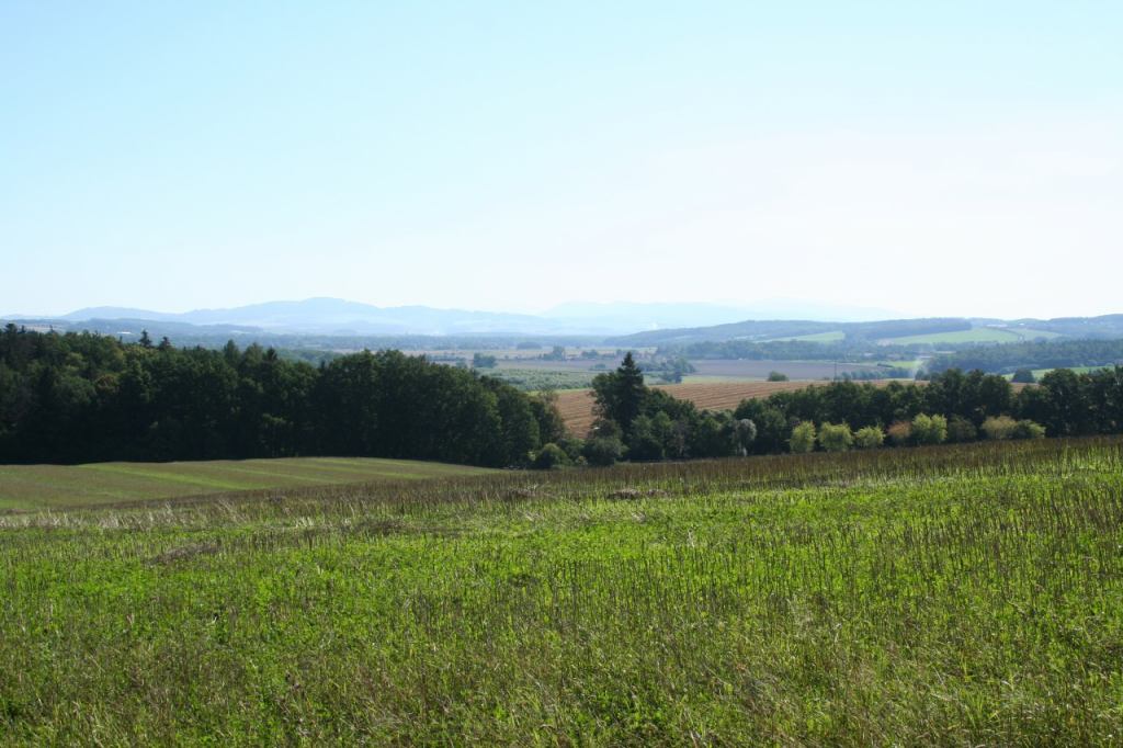 * Image 1