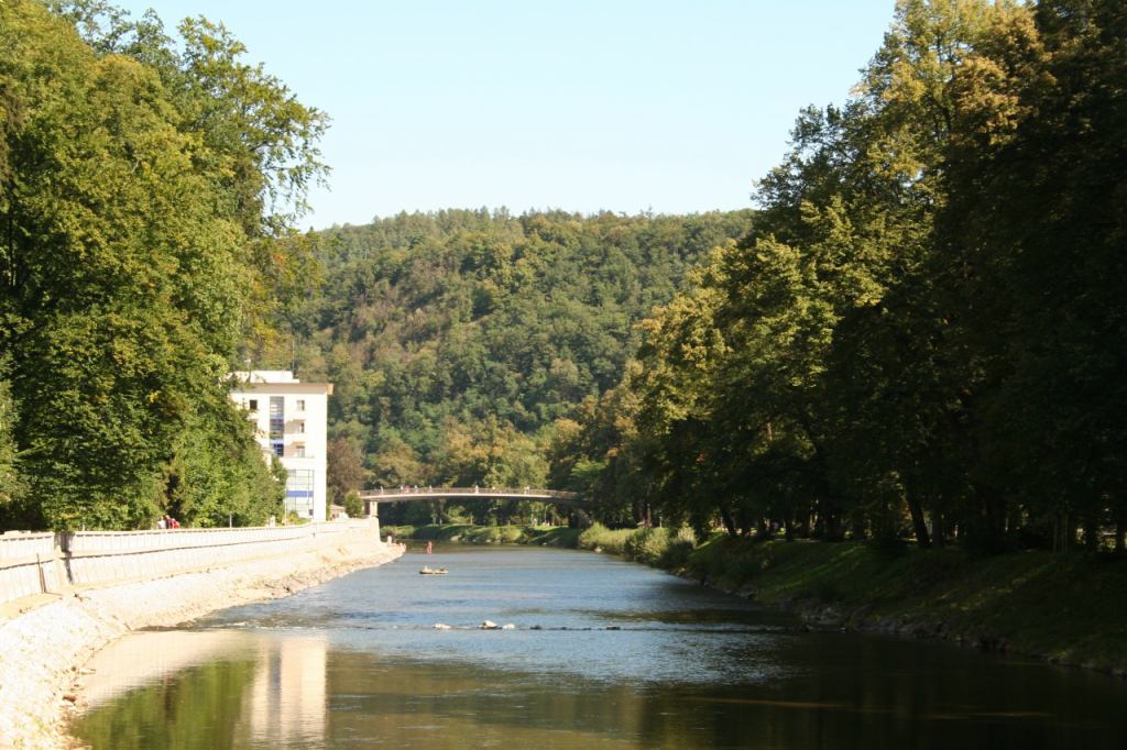 * Image 4