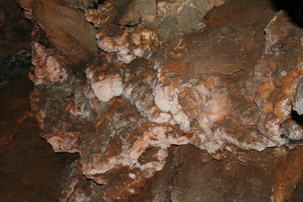* Image 7