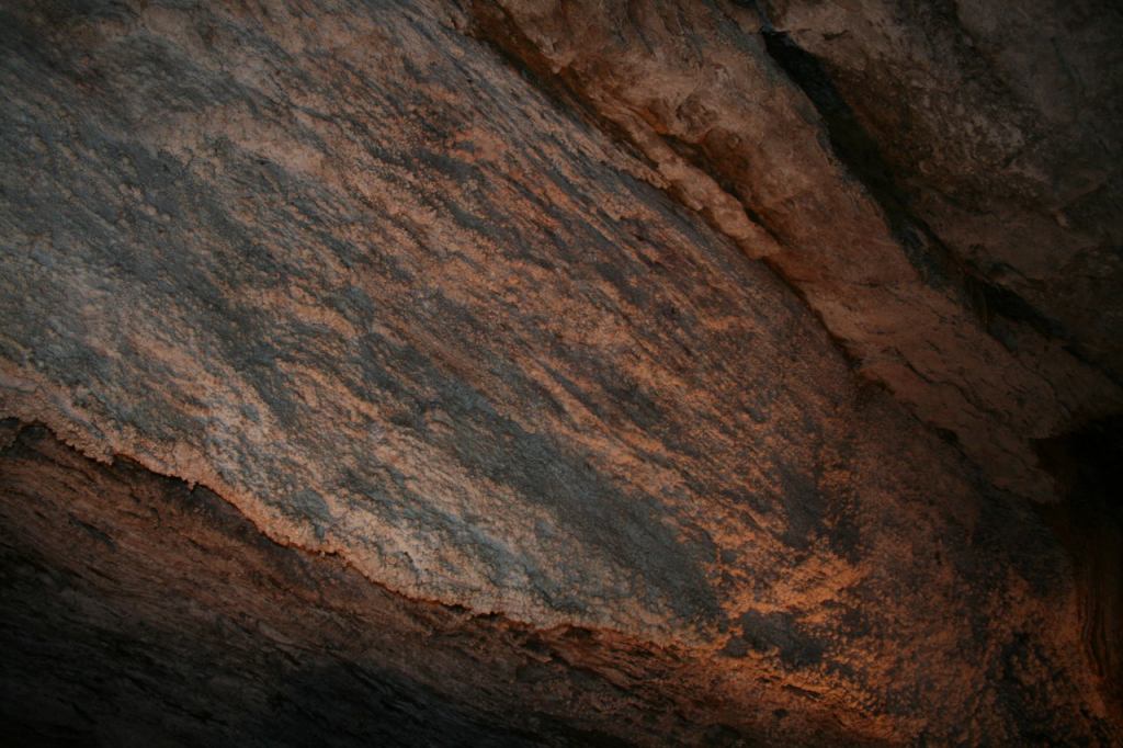 * Image 10