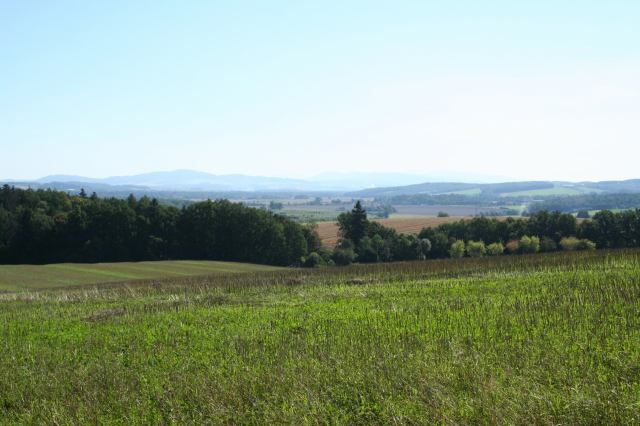 * Image 1