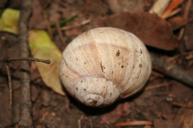 * Image 3