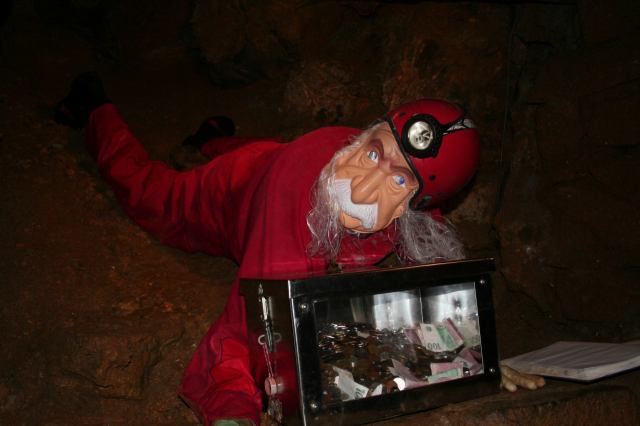 * Image 12