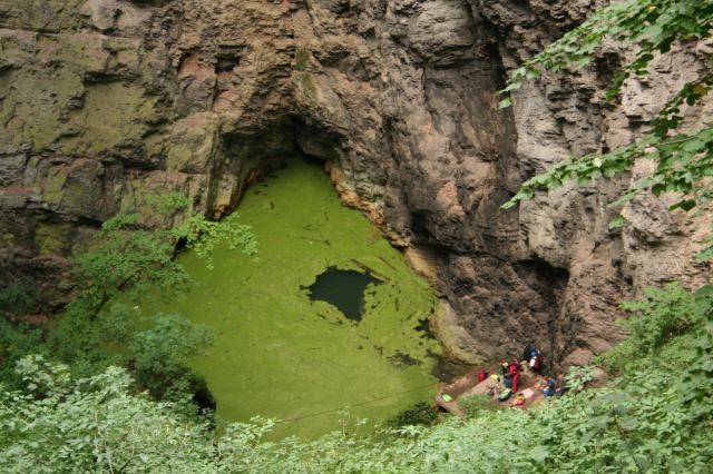 * Image 15