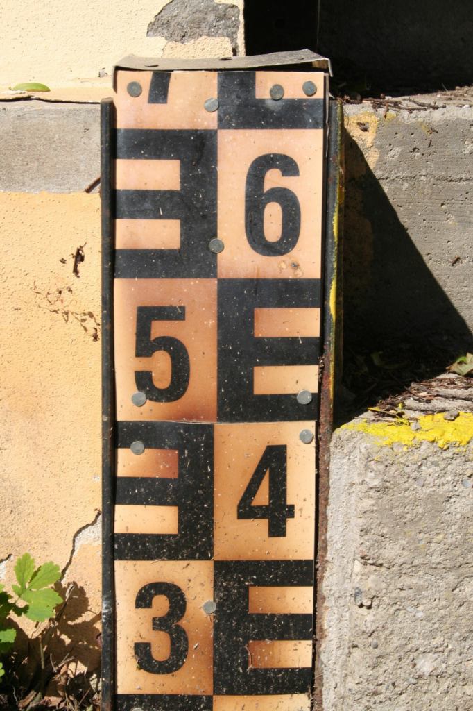 * Image 5