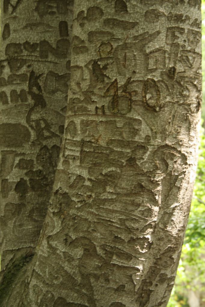 * Image 18