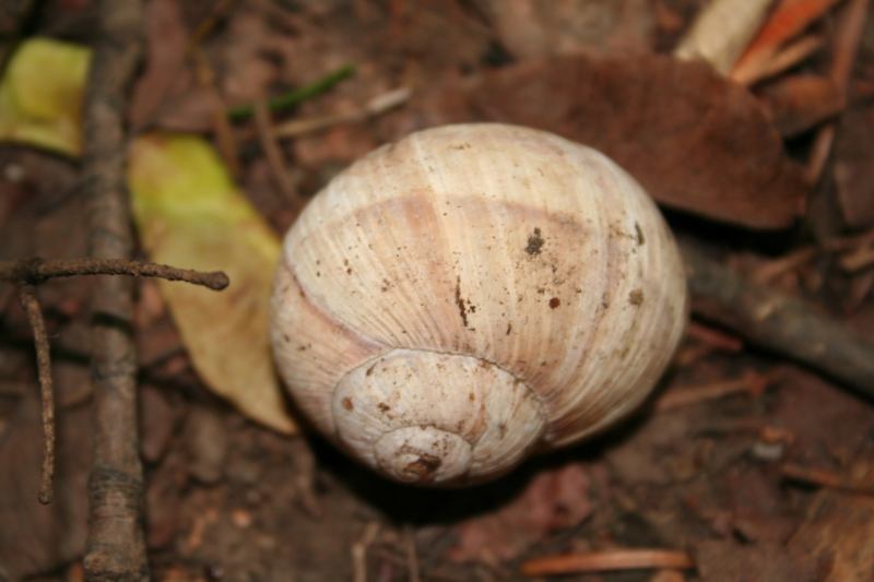 * Image 3