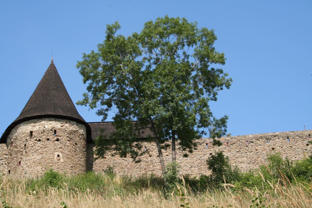 * Image 3