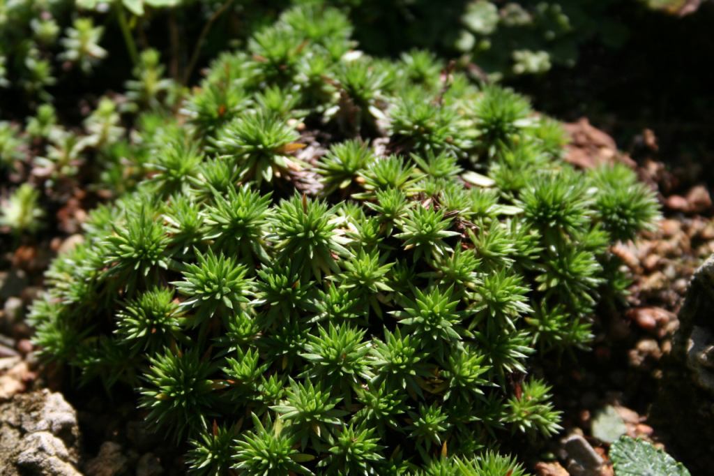 * Image 11
