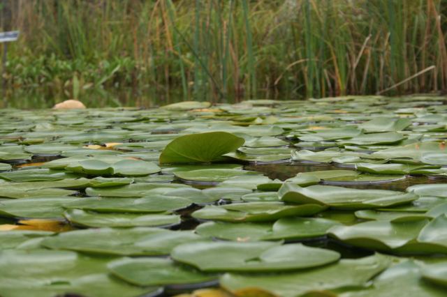 * Image 18