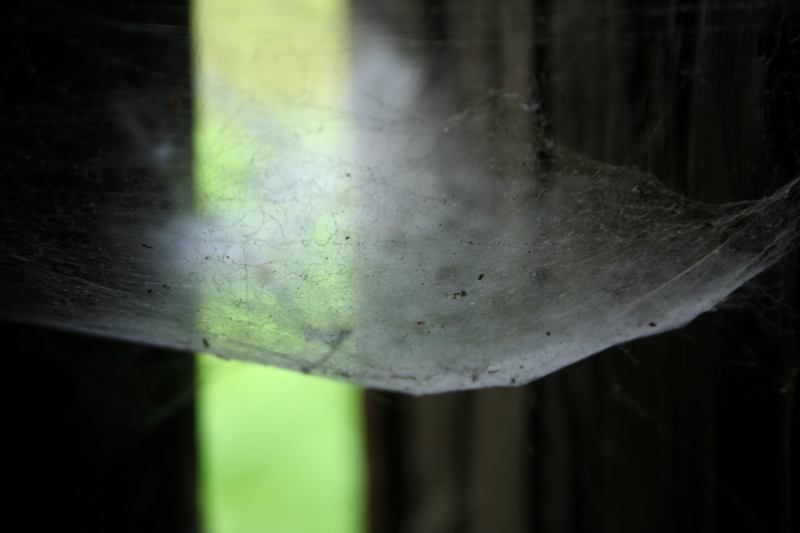 * Image 6
