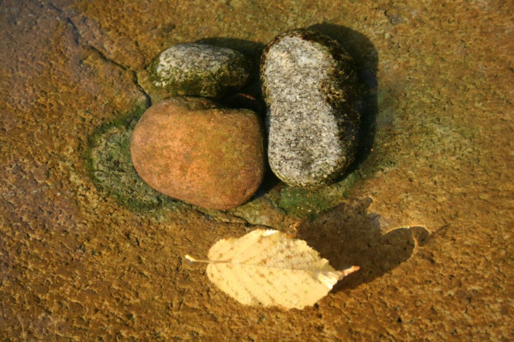 * Image 7
