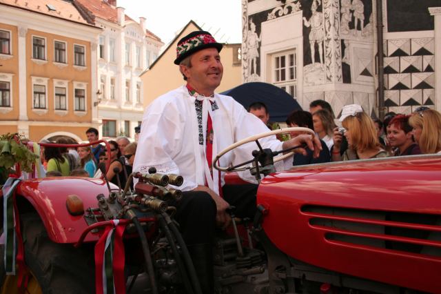 * Image 19