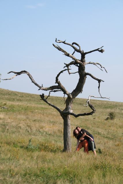 * Image 15