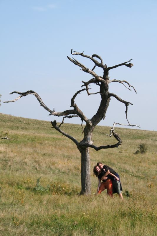 * Image 15