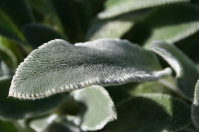 * Image 9