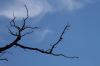 IMG_3213.jpg - 2006:10:22 13:52:54