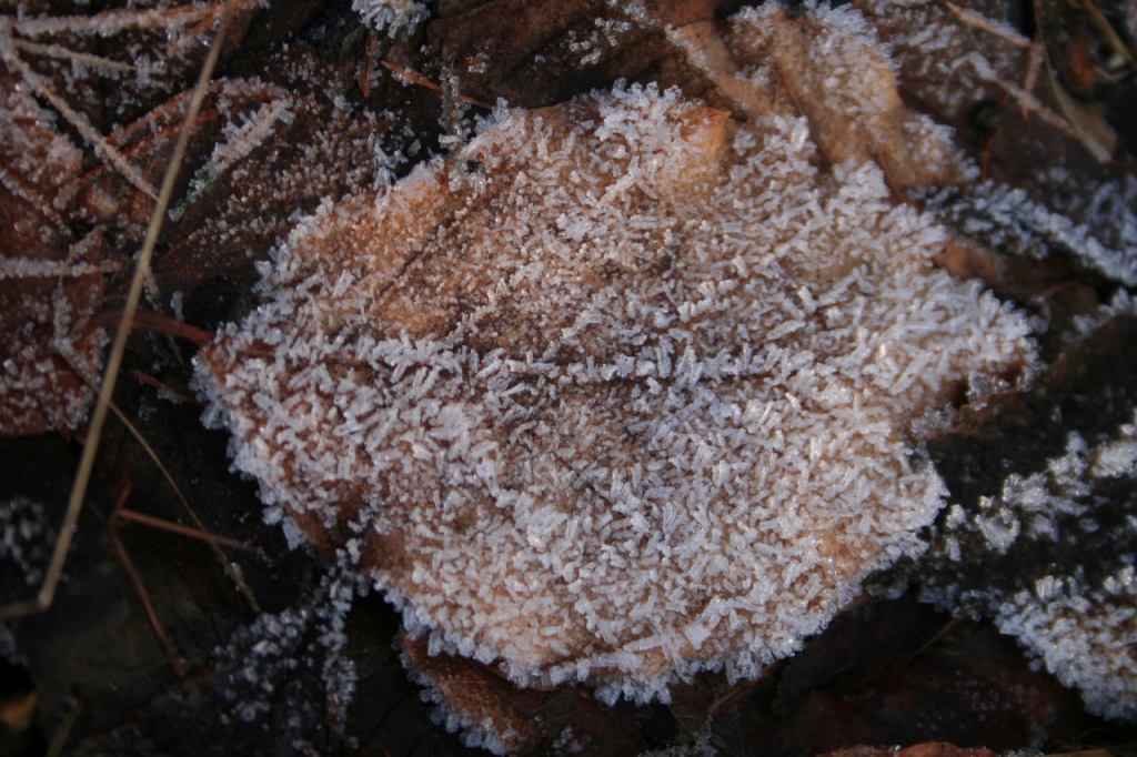 * Image 11