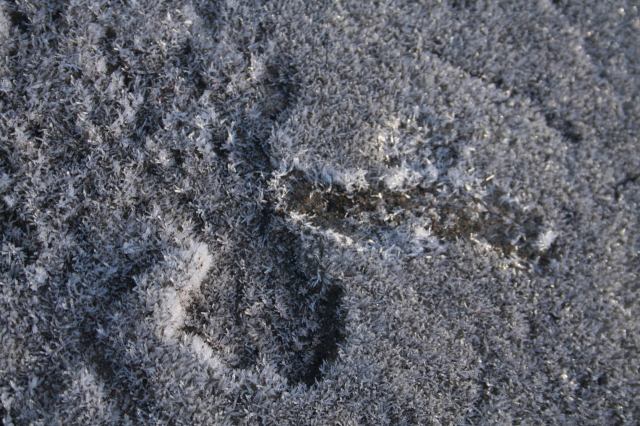 * Image 9