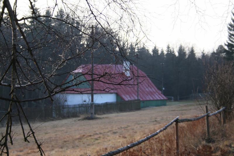 * Image 7