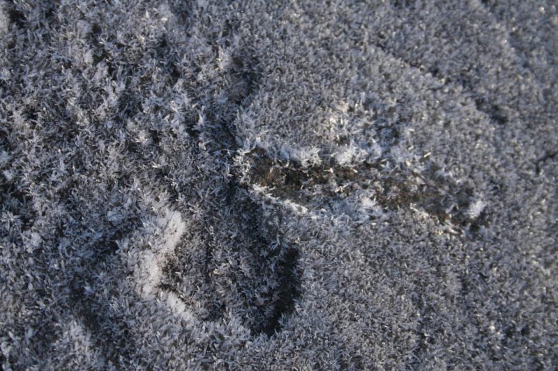 * Image 9