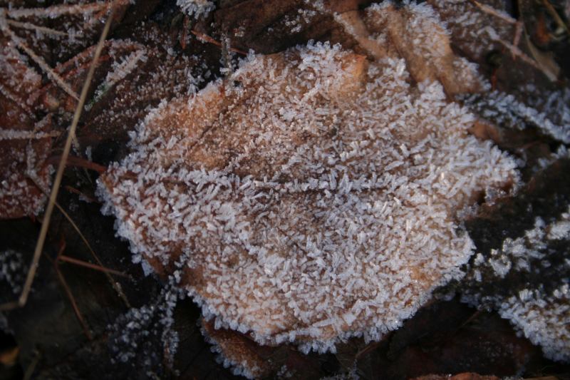 * Image 11