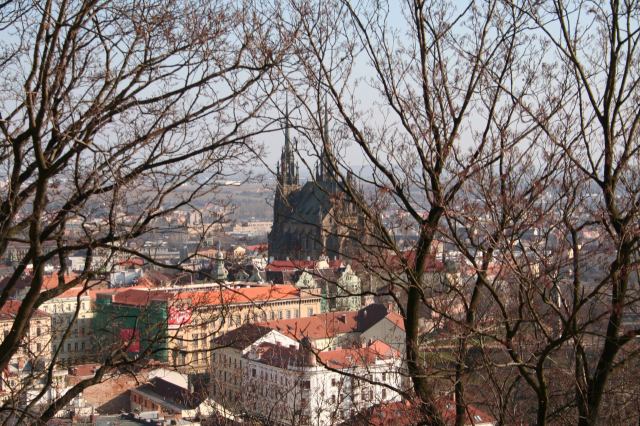 * Image 11
