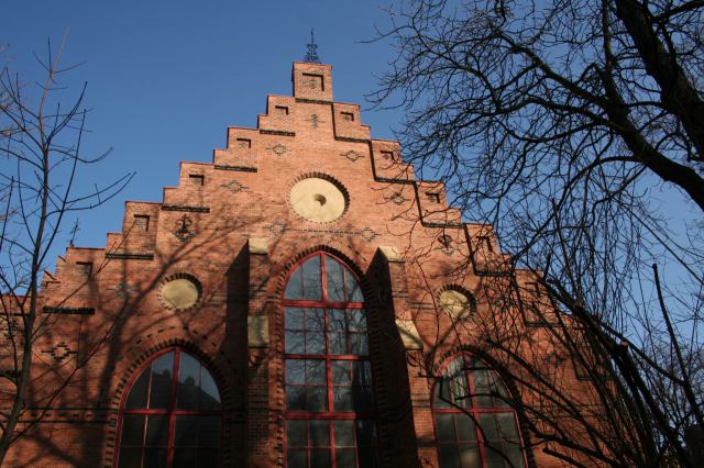 * Image 14