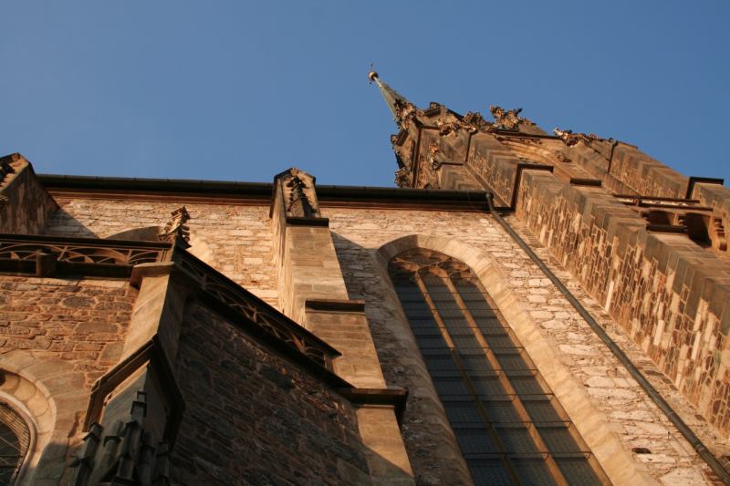 * Image 7