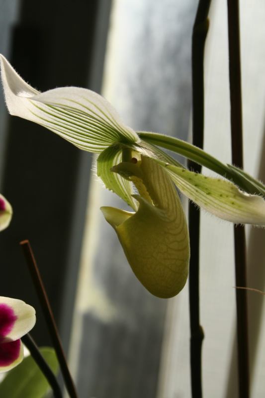 * Image 9
