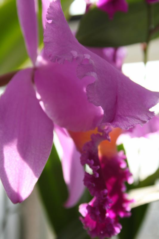 * Image 16