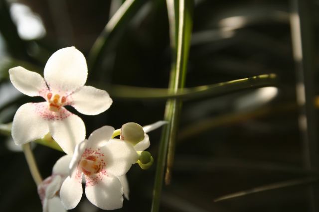 * Image 17