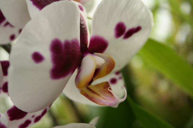 * Image 29