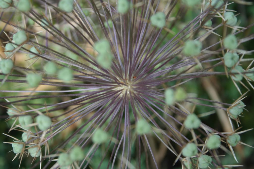 * Image 11