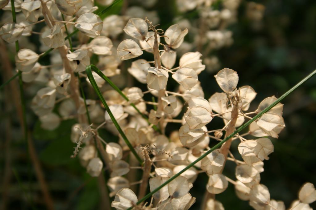 * Image 14