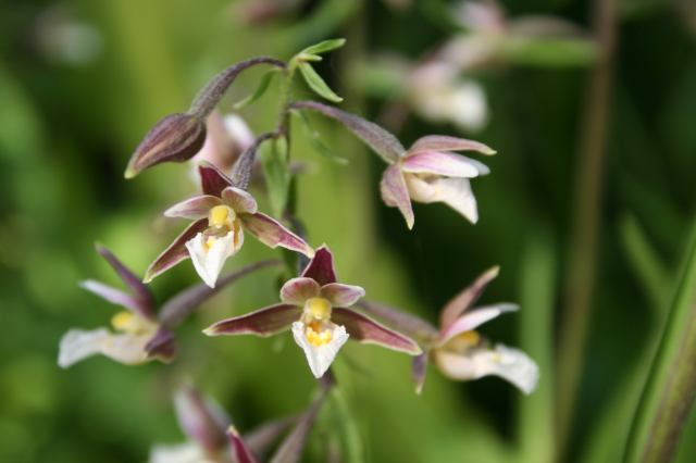* Image 9