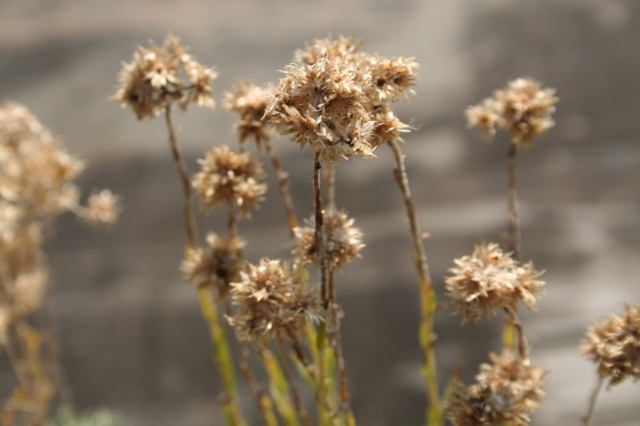 * Image 13