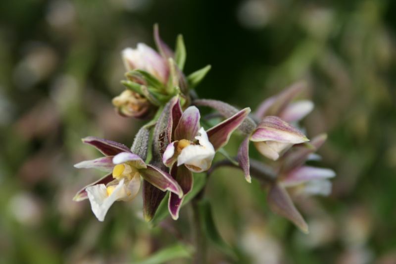 * Image 8