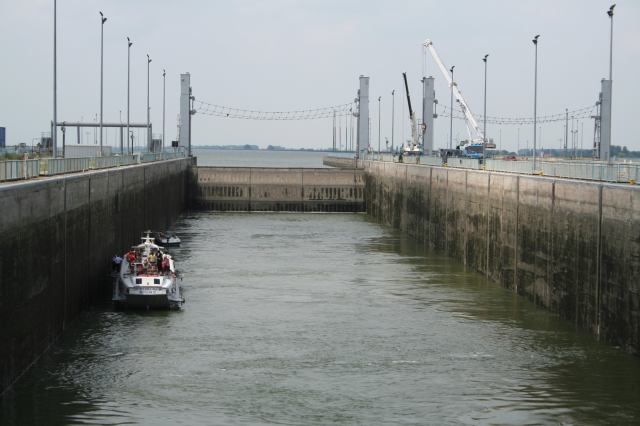 * Image 7