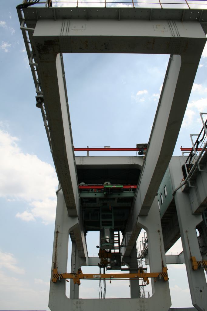 * Image 11