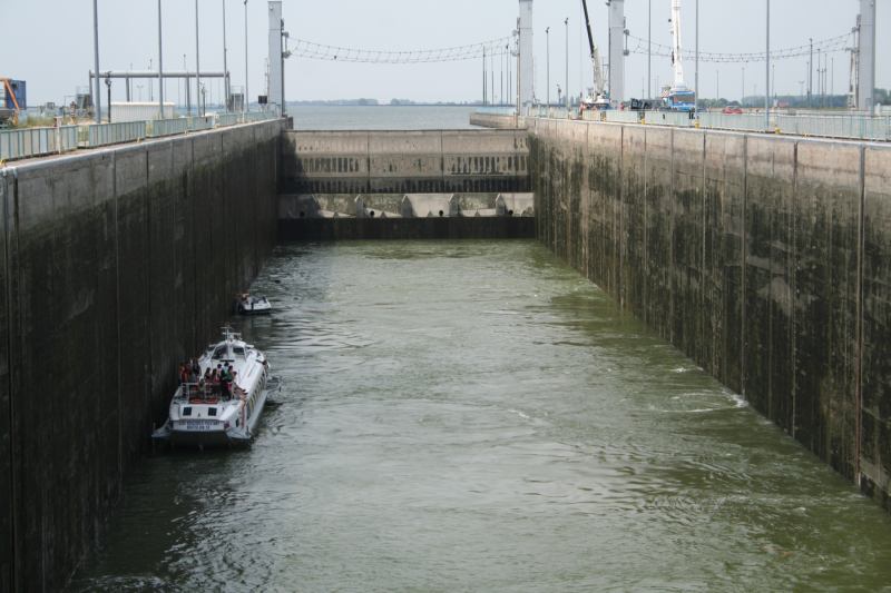 * Image 6